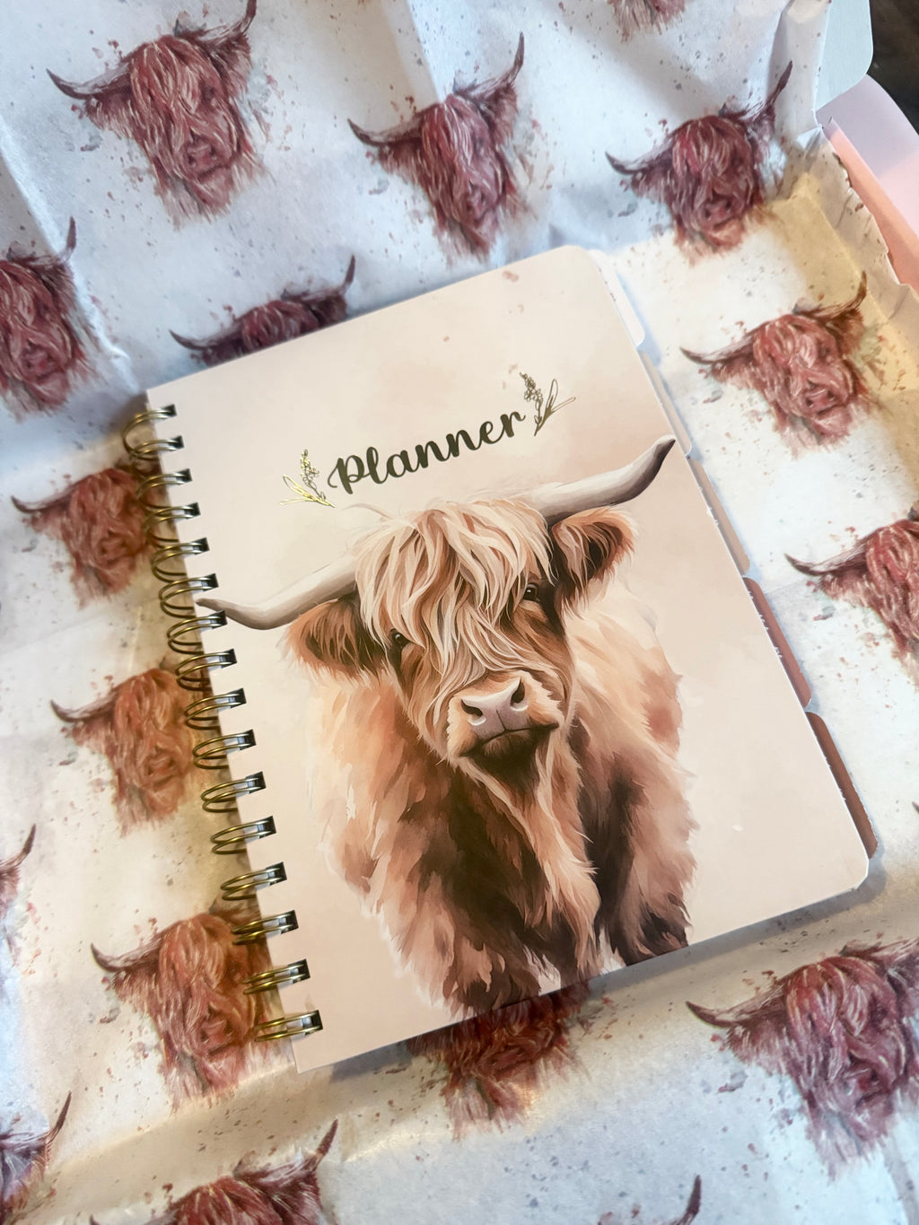 🐄 Highland Cow Junk Stationery Sets 🐄